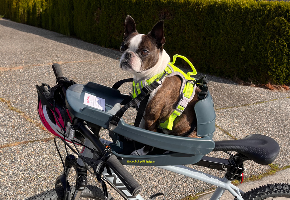 公式】BuddyRider™|愛犬と自転車ライフ!安全&快適なペット 公式】BuddyRider™|愛犬と自転車ライフ!安全&快適なペット
